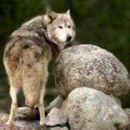 对他使用炎拳吧