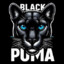 Black Puma