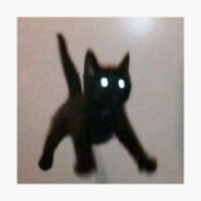 me me mao mao Steam avatar