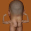 Ass