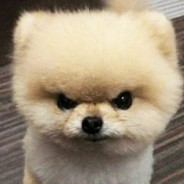 wupieoy
