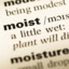 Moist