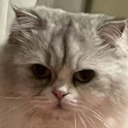 小周小周天天喝粥