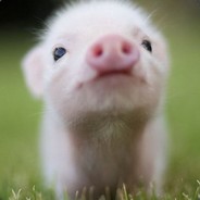 送出一个民族的舔舔