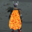 dragonscimmy