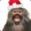 ChristmasBaboon