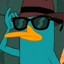 perry the platypus