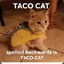 IM A TACO