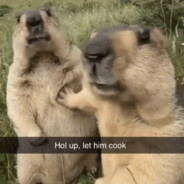 Hol up, let him cook