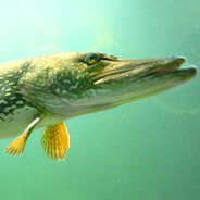 Seytch - steam id 76561199822471104