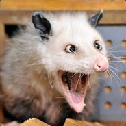 Kyrzchjam