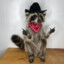 haw yee