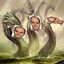 gnidra