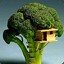 House in a Broccoli