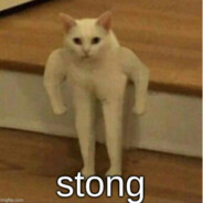 Strontpomp