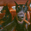 BiTuRBO