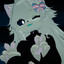 SilVox