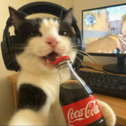 Nelegal - steam id 76561198089438384