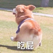 耗子扛猫满街找刀