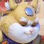 Hammond The Hamster