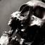 Skull B.C.