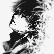 zapp3x avatar