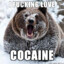 Cocaine Bear