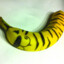 banana tiger