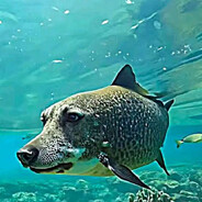 киберспортсмен