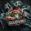 Goudvin