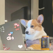 财神爷的心肝宝