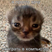 дырный сраник