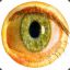 doodler12