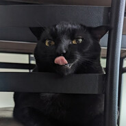 Slicck