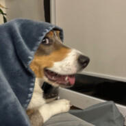 Саша Глепнір