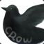 Crow314