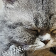 爱吃鸡翅包饭的K