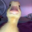 CHORA_NAO