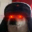 KR3J2!M4R7!N-PL