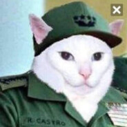 Fidel Cat