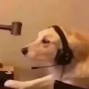 词汇丰富的流浪汉