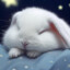 🐰 Sleepy Bun 🐰