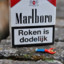 Dodelijk