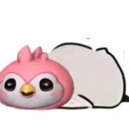 干拉枪线1号炮灰