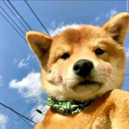 电脑玩家麦克阿瑟