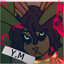 Y.M