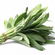 sage