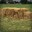 Unloosedstraw96