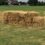 Unloosedstraw96