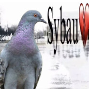 200 IQ PAPAGAJ PINGUS